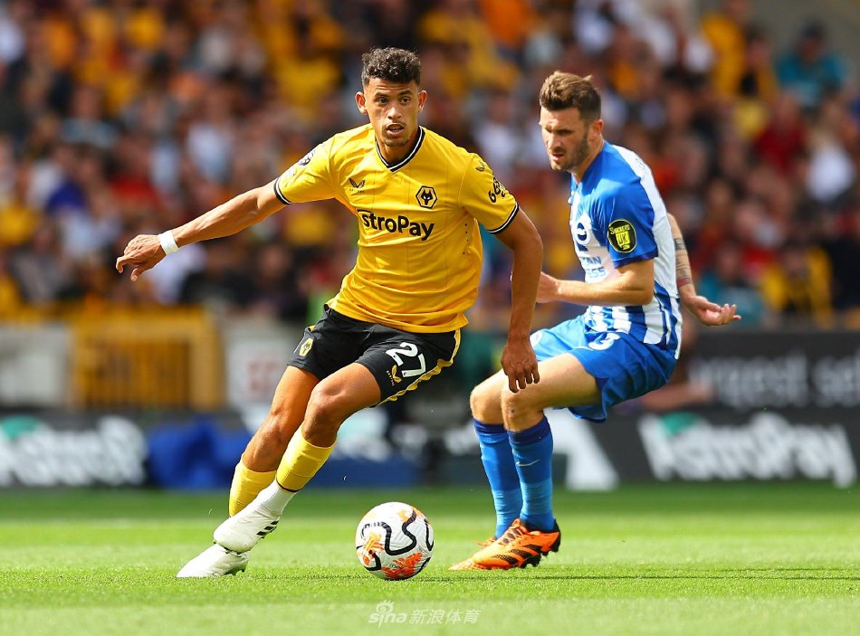 季后赛的舞 季后赛的舞